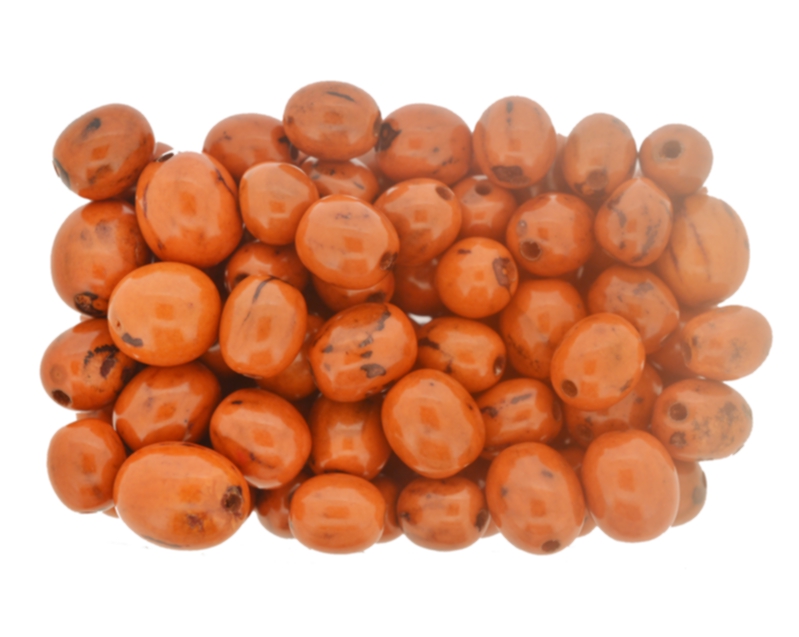 Buritirana (caranã) laranja - Embalagem 50 sementes